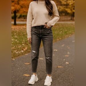 Dyndnm Claudia High Rise Mom Gray Distressed Jeans‎ 29